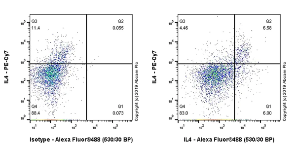 Flow Cytometry (Intracellular) - Anti-IL-4 antibody [EPR22879-236] (AB225638)