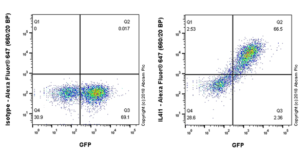 Flow Cytometry (Intracellular) - Anti-IL-4I1/LAO antibody [EPR22070] (AB222102)