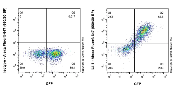 Flow Cytometry (Intracellular) - Anti-IL-4I1/LAO antibody [EPR22070] - BSA and Azide free (AB237783)