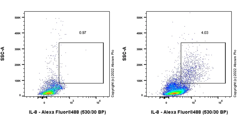 Anti-IL-8 antibody [EPR26511-74] KO tested (ab289967) | Abcam