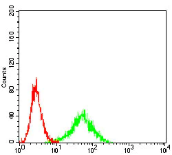 Flow Cytometry - Anti-IL-9R antibody [4A11H2] (AB233757)