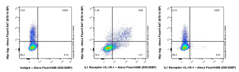 Flow Cytometry - Anti-IL1 Receptor I/IL-1R-1 antibody [EPR27284-5] - BSA and Azide free (AB325442)