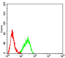 Flow Cytometry - Anti-IL2 Receptor beta/p75 antibody [1G11C6] (AB233792), expandable thumbnail