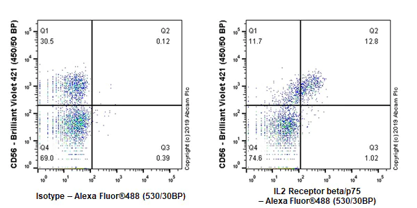 Flow Cytometry - Anti-IL2 Receptor beta/p75 antibody [EPR22892-2] - BSA and Azide free (AB264075)