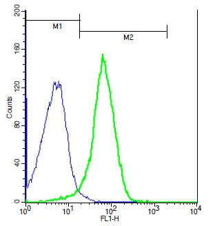 Flow Cytometry - Anti-IL27RA/WSX-1 antibody (AB217627)