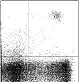Flow Cytometry - Anti-IL3RA/CD123 antibody [6H6] (AB21562)