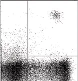 Flow Cytometry - Anti-IL3RA/CD123 antibody [6H6] (AB21562)