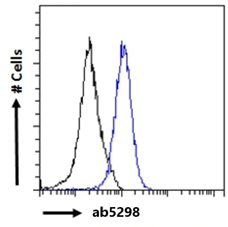 Flow Cytometry (Intracellular) - Anti-ILF1 antibody (AB5298)