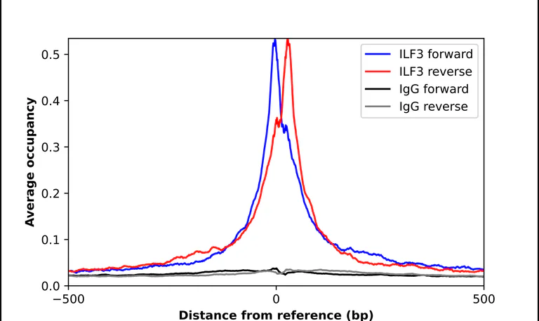 ChIP - Anti-ILF3 Antibody (AB327172)