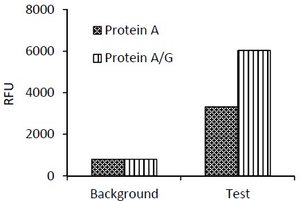 Immunoprecipitation - Immunoprecipitation kit (AB206996), expandable thumbnail