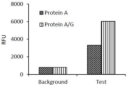 Immunoprecipitation - Immunoprecipitation kit (AB206996)