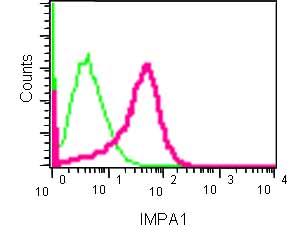 Flow Cytometry (Intracellular) - Anti-IMPA1 antibody [EPR15404(B)] - BSA and Azide free (AB250724), expandable thumbnail