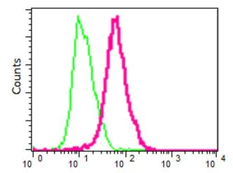 Flow Cytometry (Intracellular) - Anti-IMPA1 antibody [EPR15405] - BSA and Azide free (AB251091)