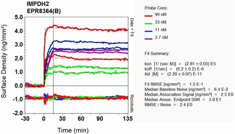 OI-RD Scanning - Anti-IMPDH2 antibody [EPR8364(B)] (AB131158), expandable thumbnail