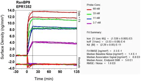 OI-RD Scanning - Anti-Importin 9/RANBP9 antibody [EPR1352] (AB124710)