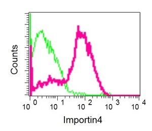 Flow Cytometry (Intracellular) - Anti-Importin4/Imp4 antibody [EPR13660] (ab181046), expandable thumbnail