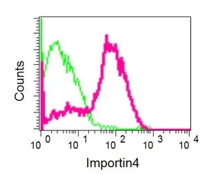 Flow Cytometry (Intracellular) - Anti-Importin4/Imp4 antibody [EPR13660] (AB181046)