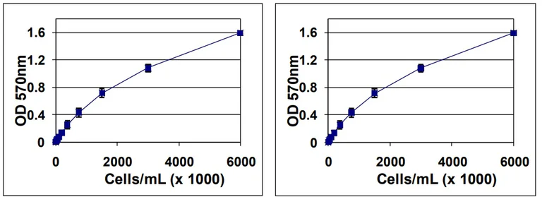 Functional Studies - In Vitro Tumor Sensitivity Assay (Soft Agar Colony Formation) (AB325583)