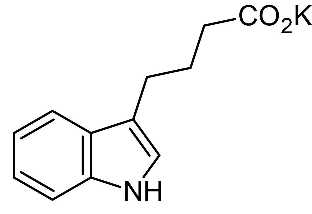 Chemical Structure - Indole-3-butyric acid potassium salt, auxin-family plant hormone (AB146396), expandable thumbnail