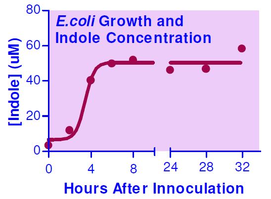 Functional Studies - Indole Assay Kit (AB272536), expandable thumbnail