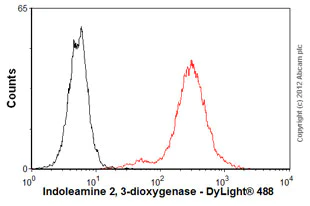 Flow Cytometry - Anti-Indoleamine 2, 3-dioxygenase antibody [4D2] (AB55305)