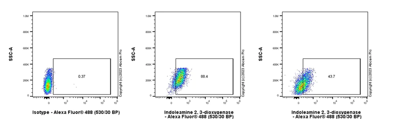 Flow Cytometry (Intracellular) - Anti-Indoleamine 2, 3-dioxygenase antibody [EPR28349-89] - BSA and Azide free (AB311848)