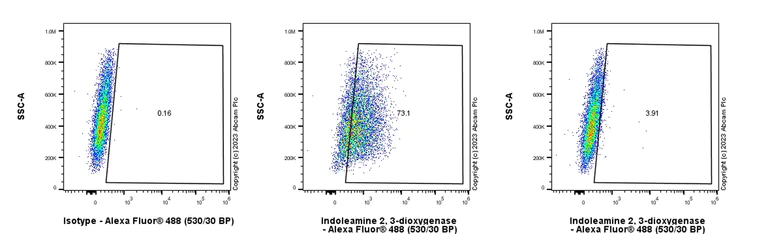 Flow Cytometry (Intracellular) - Anti-Indoleamine 2, 3-dioxygenase antibody [EPR28349-89] - BSA and Azide free (AB311848)