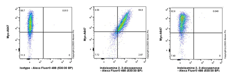 Flow Cytometry (Intracellular) - Anti-Indoleamine 2, 3-dioxygenase antibody [EPR28349-89] - BSA and Azide free (AB311848)