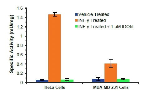 Functional Studies - Indoleamine 2,3-Dioxygenase 1 (IDO1) Activity Assay Kit (AB235936)
