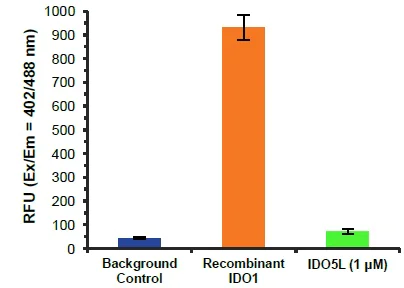 Functional Studies - Indoleamine 2,3-Dioxygenase 1 (IDO1) Activity Assay Kit (AB235936)