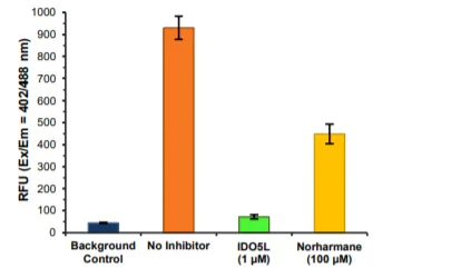 Functional Studies - Indoleamine 2,3-Dioxygenase 1 (IDO1) Inhibitor Assay Kit (AB273304)