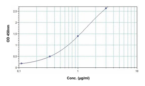 Sandwich ELISA - Infliximab ELISA Kit (AB237644)