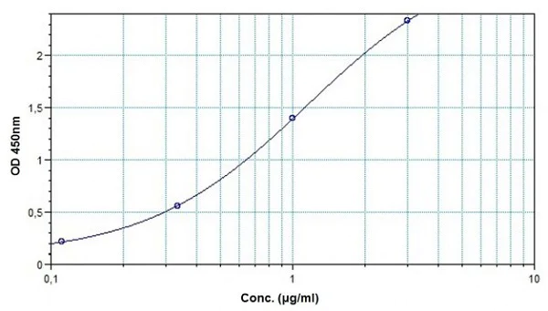 Sandwich ELISA - Infliximab ELISA Kit (AB237647)