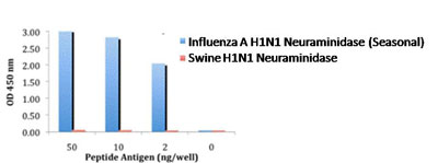 ELISA - Anti-Influenza A H1N1 Neuraminidase antibody (AB91646)