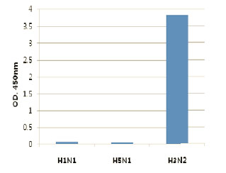 ELISA - Anti-Influenza A Virus Hemagglutinin antibody [AT1B7] (AB139361)