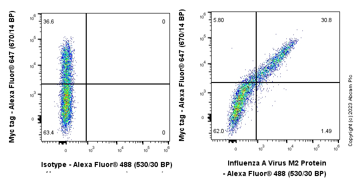 Flow Cytometry (Intracellular) - Anti-Influenza A Virus M2 Protein antibody [EPR28252-11] - BSA and Azide free (AB313890), expandable thumbnail