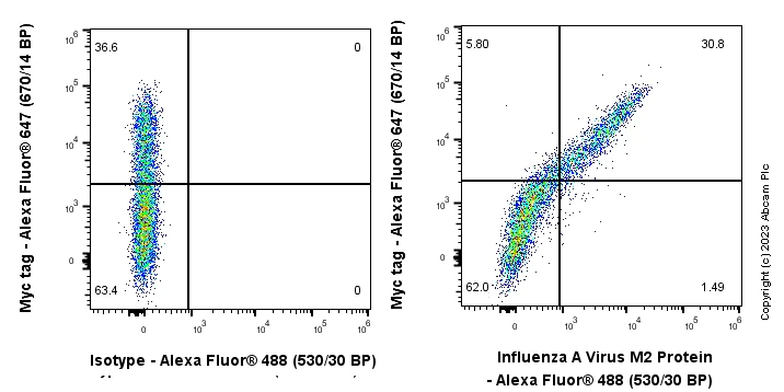 Flow Cytometry (Intracellular) - Anti-Influenza A Virus M2 Protein antibody [EPR28252-11] - BSA and Azide free (AB313890)