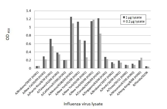 Indirect ELISA - Anti-Influenza A virus Nucleoprotein antibody [HL1089] (AB308393)