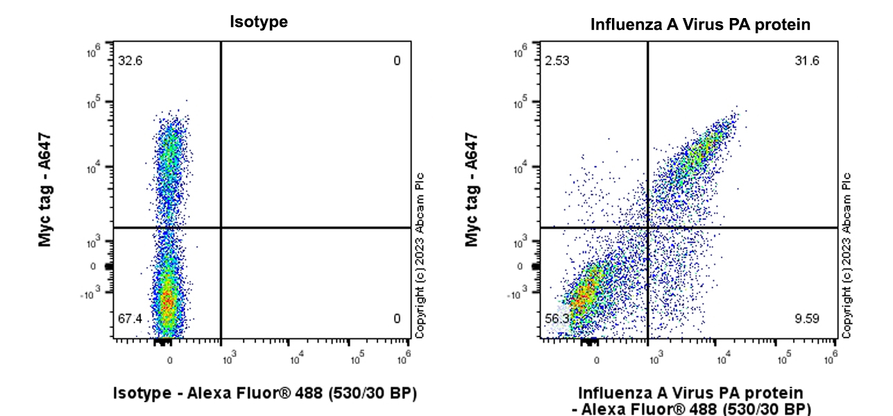 Flow Cytometry (Intracellular) - Anti-Influenza A Virus PA protein antibody [EPR28250-39] (ab313745), expandable thumbnail
