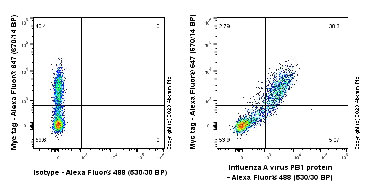 Flow Cytometry (Intracellular) - Anti-Influenza A virus PB1 antibody [EPR28248-26] (AB313887)