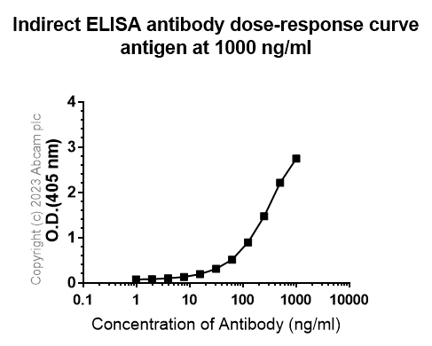 Indirect ELISA - Anti-Influenza A virus PB1 antibody [EPR28248-26] (AB313887)