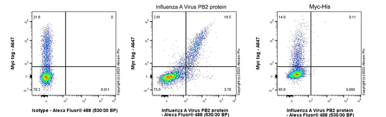 Flow Cytometry (Intracellular) - Anti-Influenza A Virus PB2 protein antibody [EPR28249-46] (AB312856)