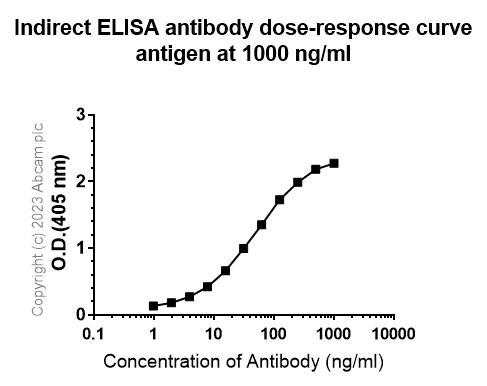 Indirect ELISA - Anti-Influenza A Virus PB2 protein antibody [EPR28249-46] (AB312856)
