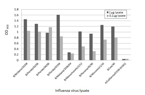 Indirect ELISA - Anti-Influenza B virus Nucleoprotein antibody [HL1073] (AB308414), expandable thumbnail
