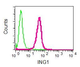 Flow Cytometry (Intracellular) - Anti-ING1 antibody [EPR6788] (AB124893), expandable thumbnail