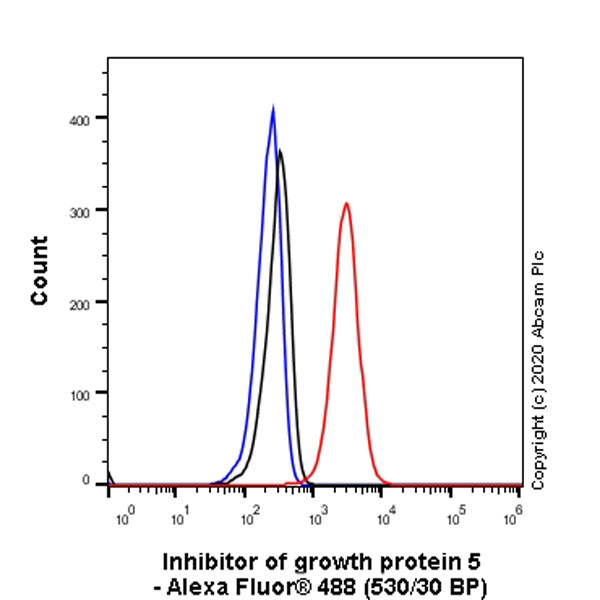 Flow Cytometry (Intracellular) - Anti-ING5 antibody [EPR23930-1] - BSA and Azide free (ab277948), expandable thumbnail