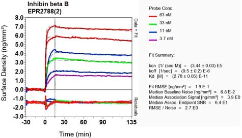 OI-RD Scanning - Anti-Inhibin beta B antibody [EPR2788(2)] (AB128944)