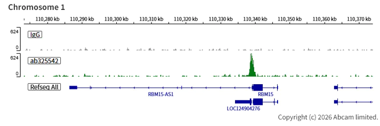 ChIC/CUT&RUN sequencing - Anti-INO80 antibody [EPR30384-761] (AB325542)