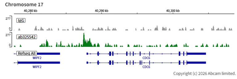 ChIC/CUT&RUN sequencing - Anti-INO80 antibody [EPR30384-761] (AB325542)