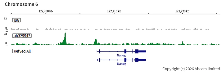 ChIC/CUT&RUN sequencing - Anti-INO80 antibody [EPR30384-761] (AB325542)